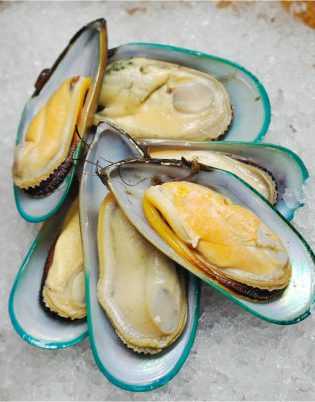 Half Shelled Mussel (New Zealand) 907g